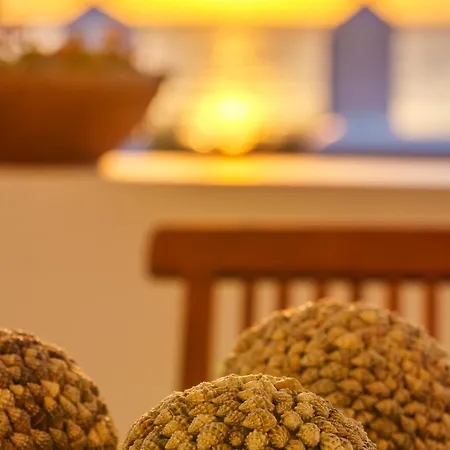 Blue Eyes Daire Monolithos