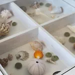 Apartamento Blue Eyes